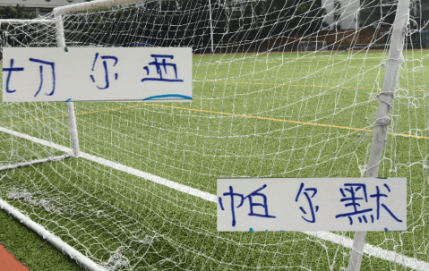 没见过海港奥斯卡在切尔西踢球 但我见过23岁的帕尔默在蓝军进球